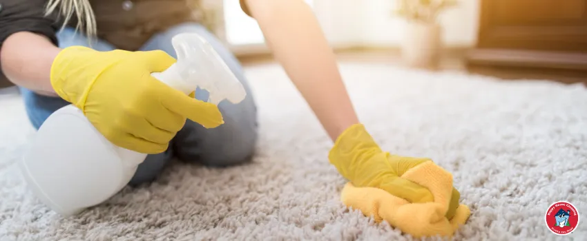 HHC - A woman cleaning the living room carpet