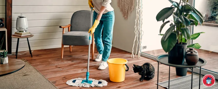 HHC - A woman cleaning a new house